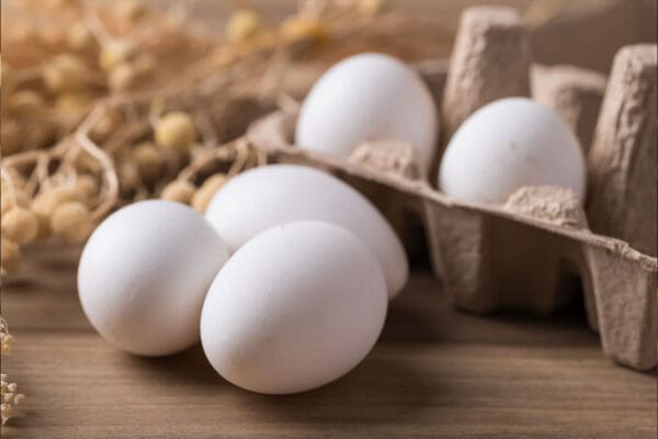 Duck Eggs
